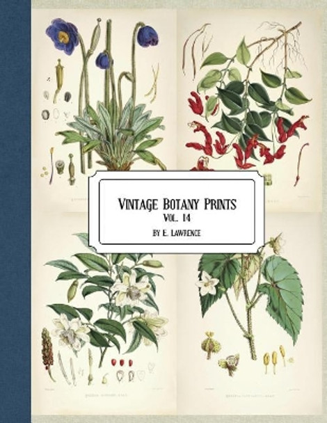 Vintage Botany Prints: Vol. 14 by E Lawrence 9781724534514