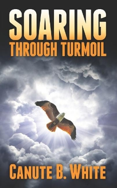 Soaring Through Turmoil by Canute B White 9781641113458