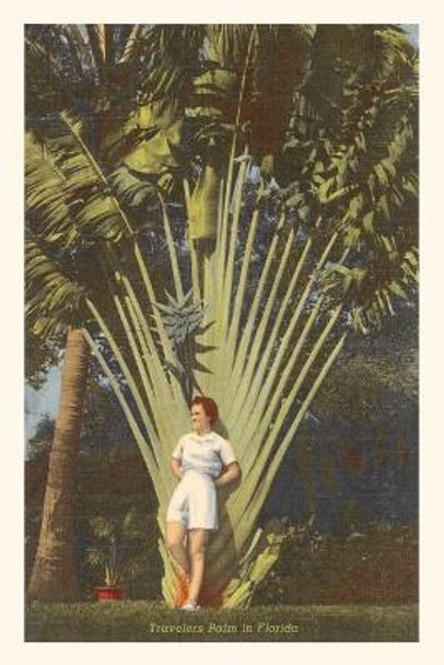 Vintage Journal Travelers Palm, Florida by Found Image Press 9781669518709