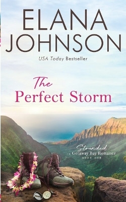 The Perfect Storm by Elana Johnson 9781638760986