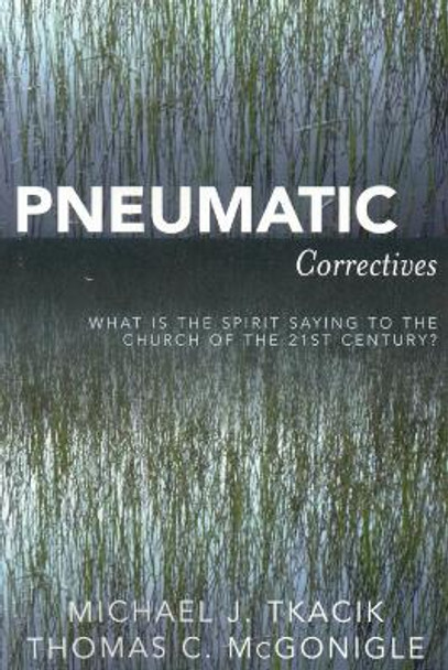 Pneumatic Correctives: What is the Spirit Saying to the Church of the Twenty-first Century? by Michael J. Tkacik 9780761835691