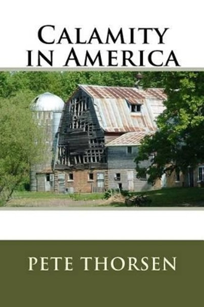 Calamity in America by Pete Thorsen 9781535108508