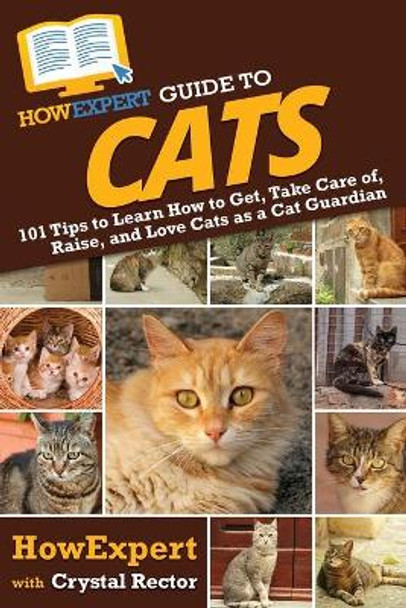 HowExpert Guide to Cats: 101 Tips to Learn How to Get, Take Care of, Raise, and Love Cats as a Cat Guardian by Howexpert 9781648917400