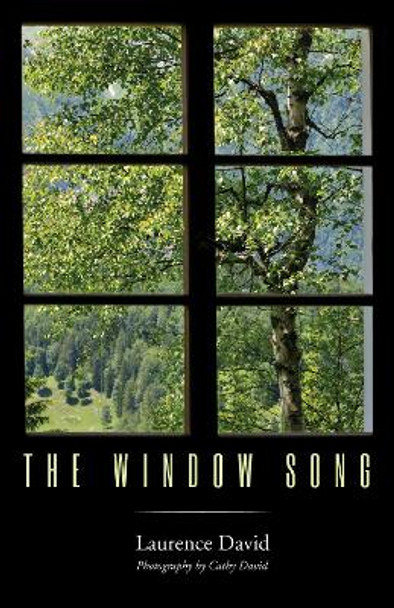 The Window Song by Laurence David 9781532619120