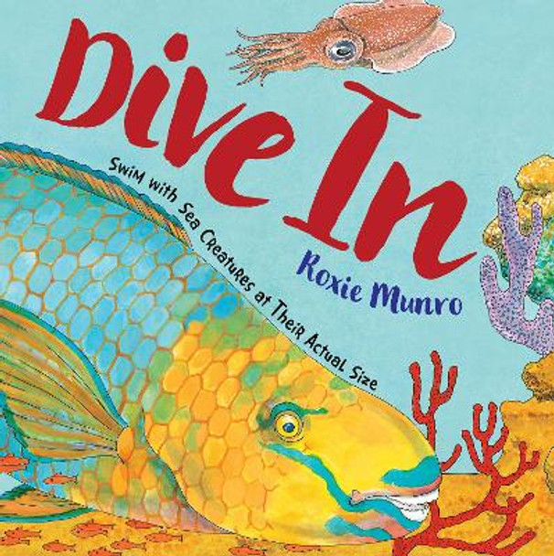 Dive In: Swim with Sea Creatures at Their Actual Size by Roxie Munro