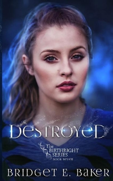 Destroyed by Bridget E Baker 9781949655339