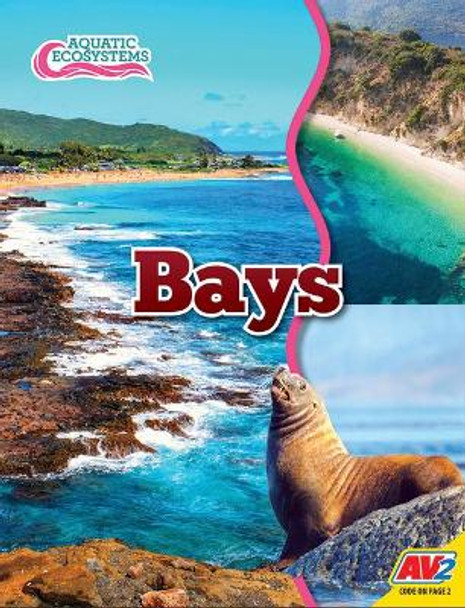 Bays by John Willis 9781791128234