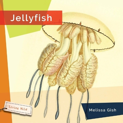 Jellyfish by Melissa Gish 9781682773390