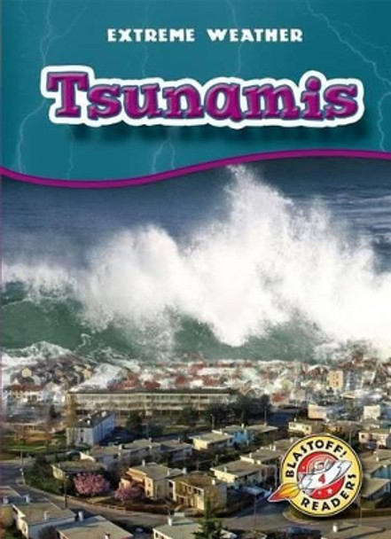 Tsunamis by Anne Wendorff 9781626174689