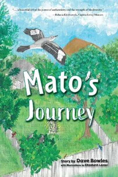 Mato's Journey by Dave Bowles 9781953021991