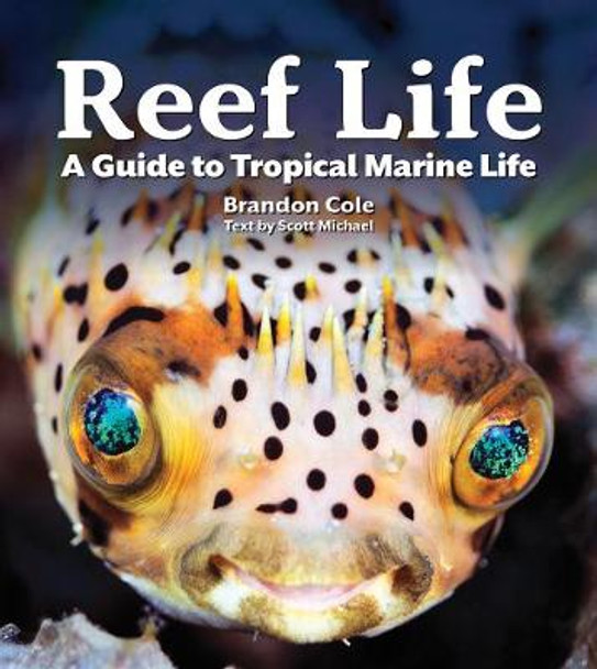 Reef Life: A Guide to Tropical Marine Life by Michael Scott