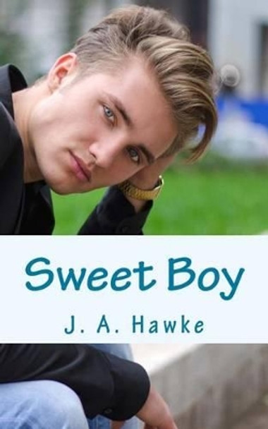 Sweet Boy by G Hawke 9781501042461