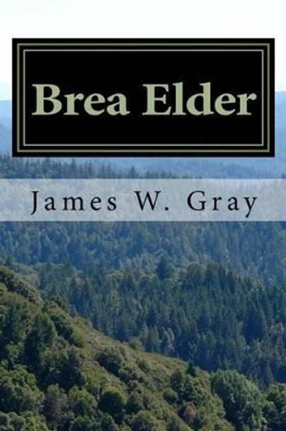 Brea Elder: A Bear God's Exploration of Japanese Culture by James W Gray 9781537521671