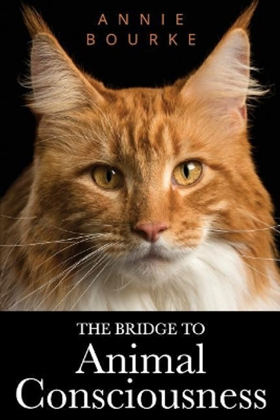 The Bridge to Animal Consciousness by Annie Bourke 9781721649679