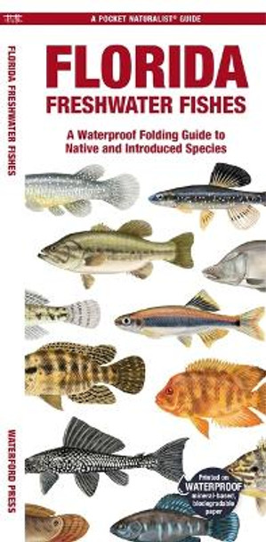 Florida Freshwater Fishes: A Waterproof Folding Guide to Native and Introduced Species by Matthew Morris 9781620056561