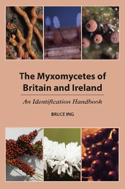 The Myxomycetes of Britain and Ireland: An Identification Handbook: 2024 by Bruce Ing 9781910481295