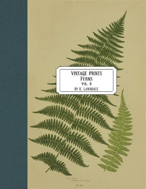 Vintage Prints: Ferns: Vol. 9 by E Lawrence 9781722124236