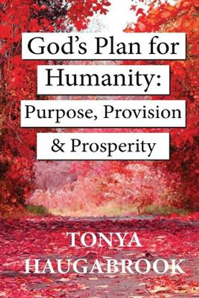 God's Plan for Humanity: Purpose, Provision, and Prosperity by Tonya Haugabrook 9781734263930