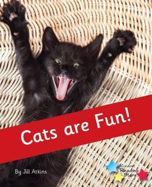 Cats are Fun!: Phonics Phase 4 by Jill Atkins