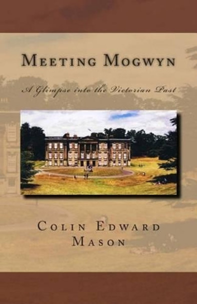 Meeting Mogwyn: A Glimpse into the Victorian Past by Lisa Marie Gabriel 9781495962585