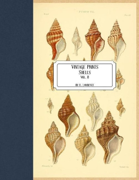 Vintage Prints: Shells: Vol. 8 by E Lawrence 9781727218466