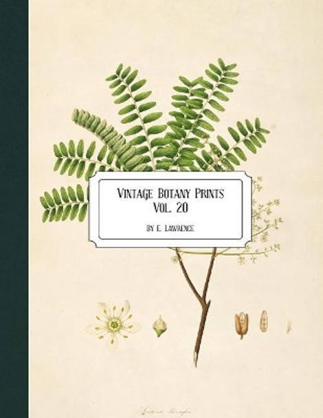 Vintage Botany Prints: Vol. 20 by E Lawrence 9781726308052