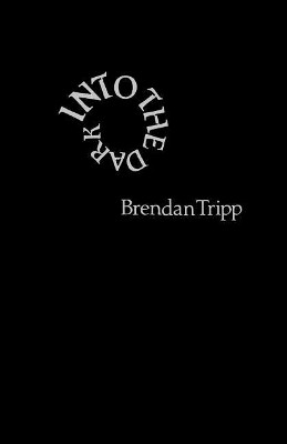 Into The Dark by Brendan Tripp 9781573530149