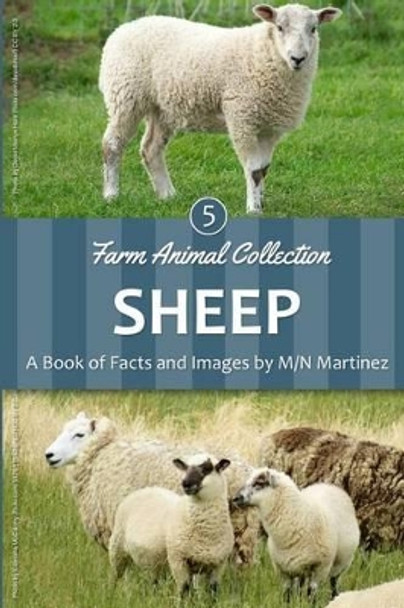 Sheep by M/N Martinez 9781533341020