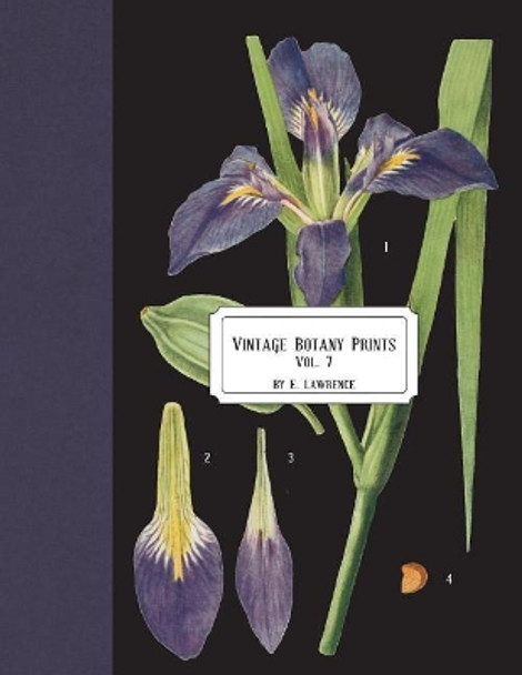 Vintage Botany Prints: Vol.7 by E Lawrence 9781721906116