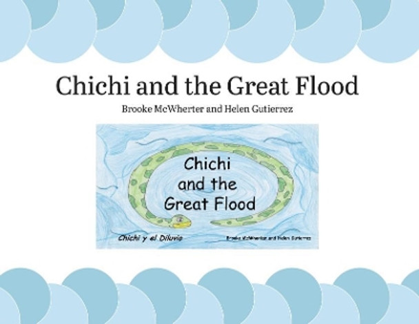 Chichi and the Great Flood by Brooke McWherter 9781607855330