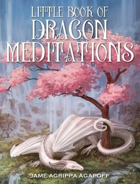 Little Book of Dragon Meditations by IV M D James R Agapoff 9781977204295