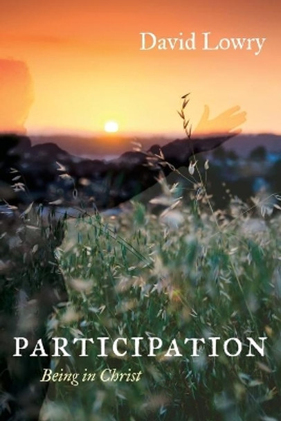 Participation by David Lowry 9781666734904