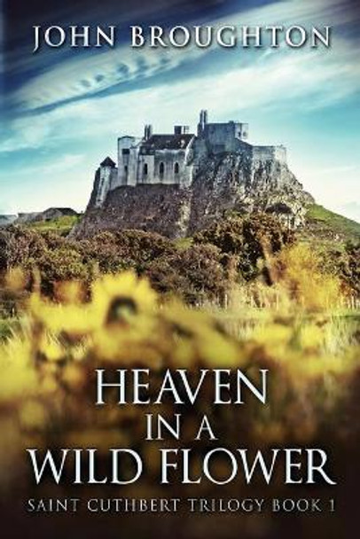 Heaven In A Wild Flower: Tale Of An Anglo-Saxon Leatherworker On Lindisfarne by John Broughton 9784824103581