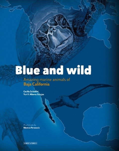 Blue and Wild: Amazing Marine Animals of Baja California by Yuri Albores Barajas 9781952643026
