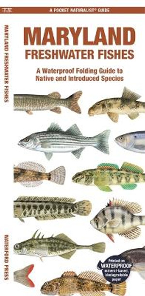 Maryland Freshwater Fishes: A Waterproof Folding Guide to Native and Introduced Species by Matthew Morris Matthew Morris 9781620056806