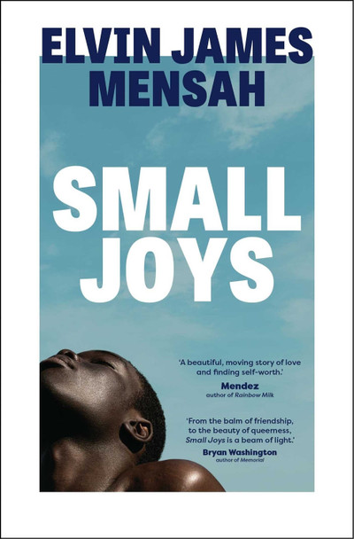 Small Joys: A Buzzfeed 'Amazing New Book You Need to Read ASAP' by Elvin James Mensah 9781398514911