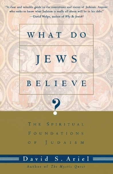 What Do Jews Believe?: The Spiritual Foundations of Judaism by David Ariel 9780805210590