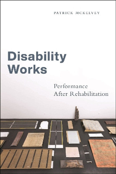 Disability Works: Performance After Rehabilitation Patrick McKelvey 9781479824878