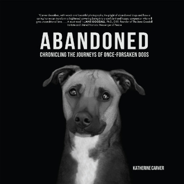 Abandoned: Chronicling the Journeys of Once-Forsaken Dogs Katherine Carver 9781590567302