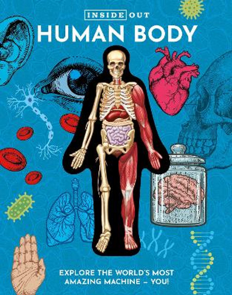 Inside Out Human Body: Explore the World's Most Amazing Machine - You! Luann Columbo 9780785845799