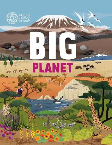 Big Planet Jon Richards 9781445186375