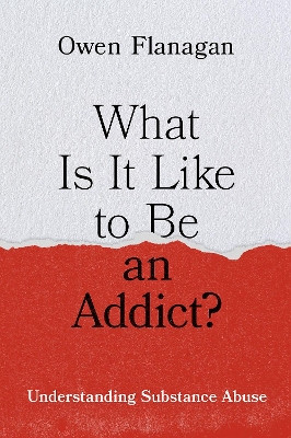 What Is It Like to Be an Addict?: Understanding Substance Abuse Owen Flanagan 9780199388929