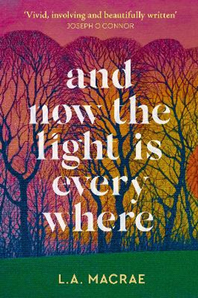 And Now the Light is Everywhere: A stunning debut novel of family secrets and redemption L.A. MacRae 9781399707497