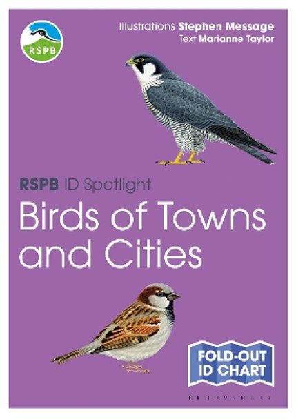 RSPB ID Spotlight - Birds of Towns and Cities Marianne Taylor 9781399419093