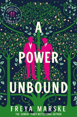 A Power Unbound Freya Marske 9781529081008