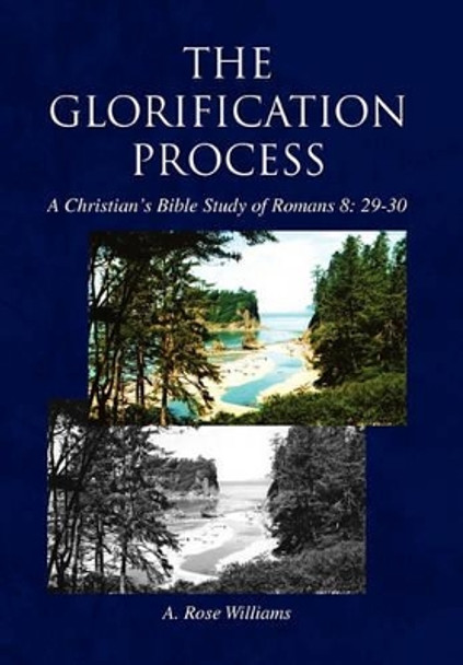 The Glorification Process by A Rose Williams 9781450032339