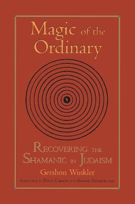 Magic Of The Ordinary by Gershon Winkler