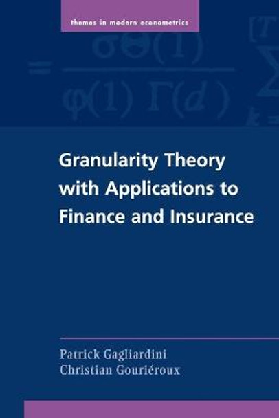 Granularity Theory with Applications to Finance and Insurance by Patrick Gagliardini