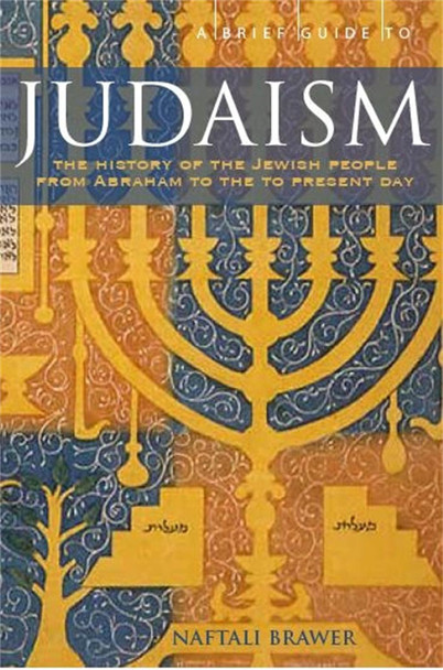 A Brief Guide to Judaism: Theology, History and Practice by Naftali Brawer 9781845296018