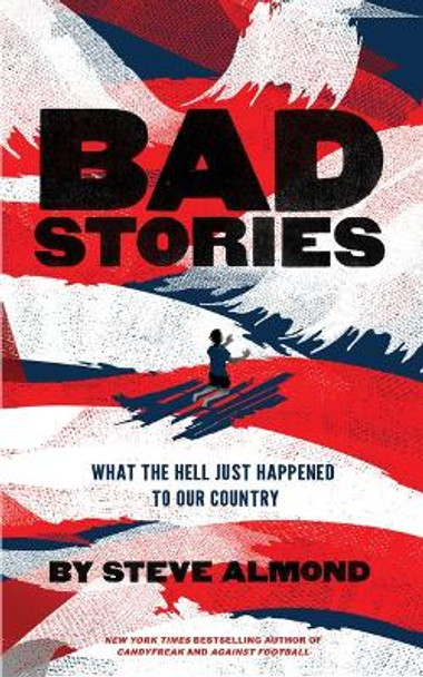 Bad Stories: What the Hell Just Happened to Our Country by Professor Steve Almond